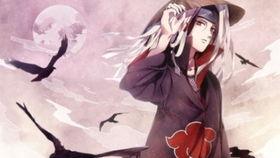 新春鼬爆料视频大全最新,揭秘娱乐圈最新动态  第1张