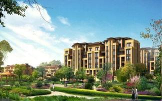 咸阳丽彩溪岸最新爆料  第2张